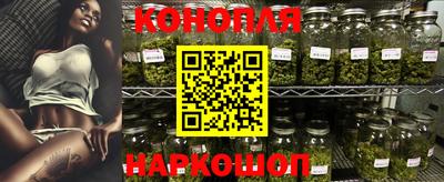 спайс Кингисепп