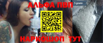 спайс Кингисепп