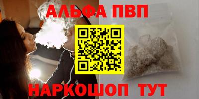 спайс Кингисепп
