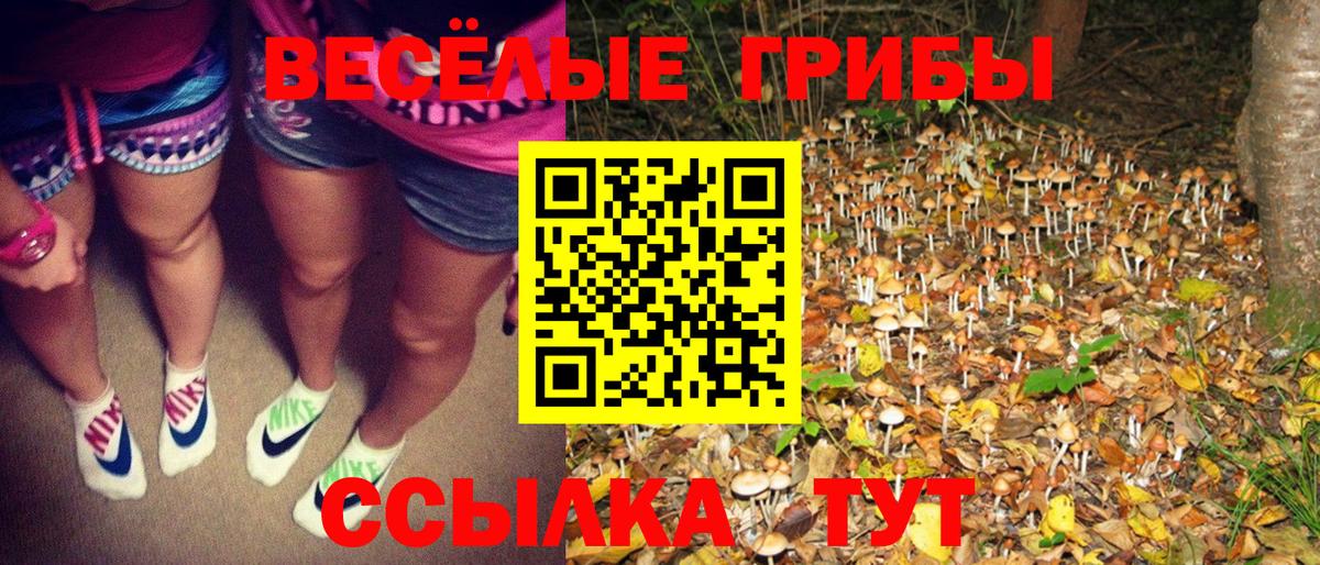 Псилоцибиновые грибы MAGIC MUSHROOMS Ярцево